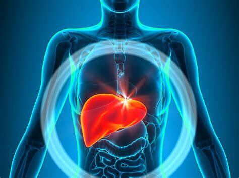 Врачи рассказали какая пища вредит вашей печени