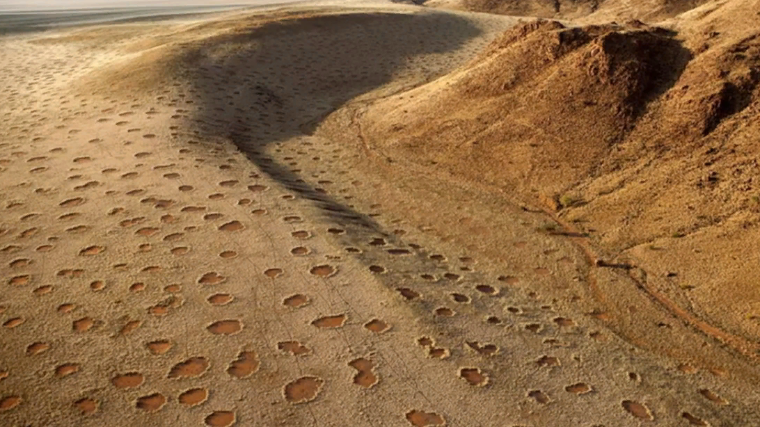 "Таинственные круги в Намибии: что мы знаем о дьявольских кольцах и их возможных причинах"