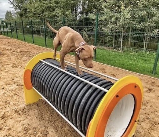 Почему-то, когда собаки заходят на детскую площадку - это ужас, а вот когда дети идут на площадку для собак - это нормально. Как оградиться от этого?