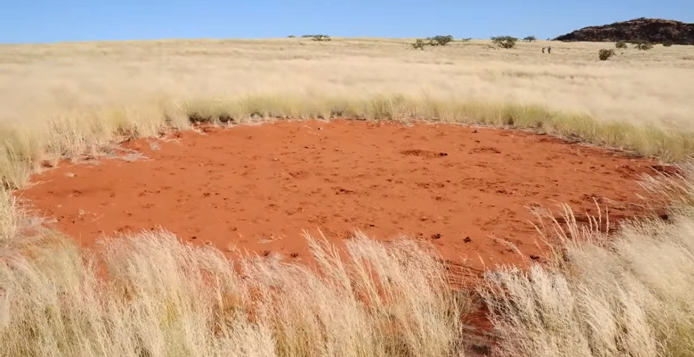 "Таинственные круги в Намибии: что мы знаем о дьявольских кольцах и их возможных причинах"