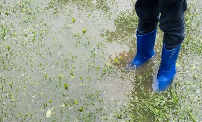 На участке потоп – что делать?