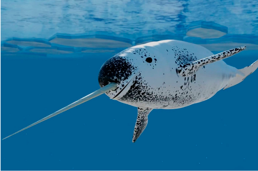 Интересные факты о Морском единороге