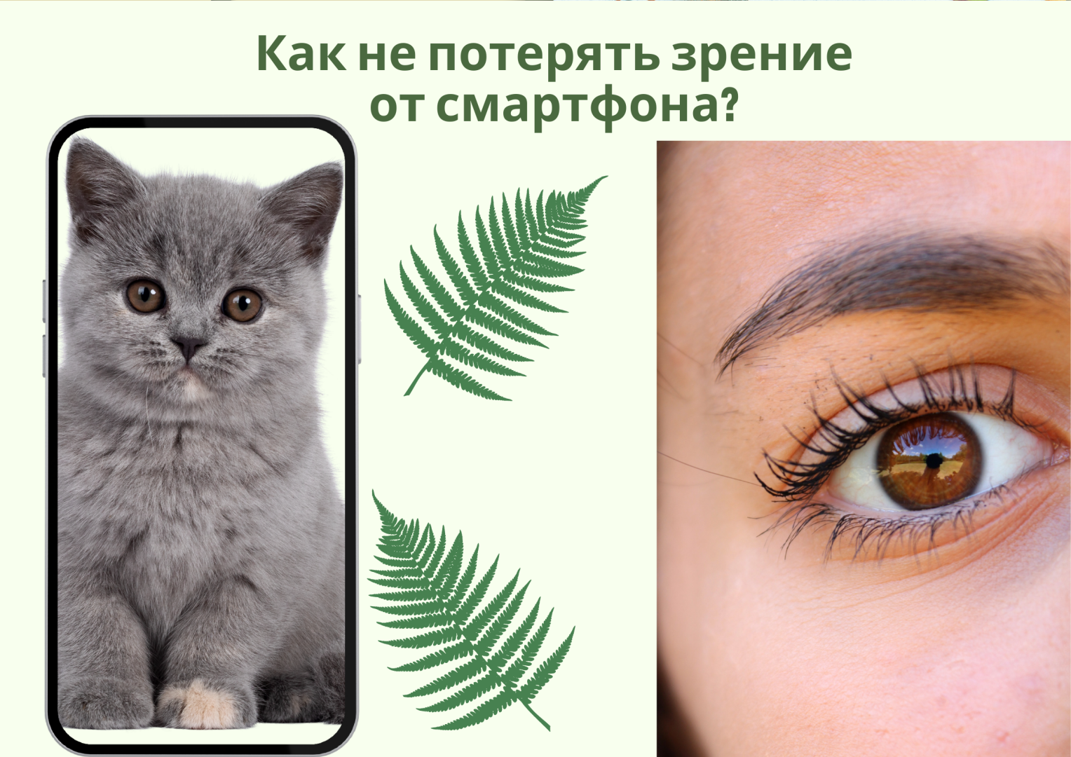 Как не потерять зрение от смартфона?