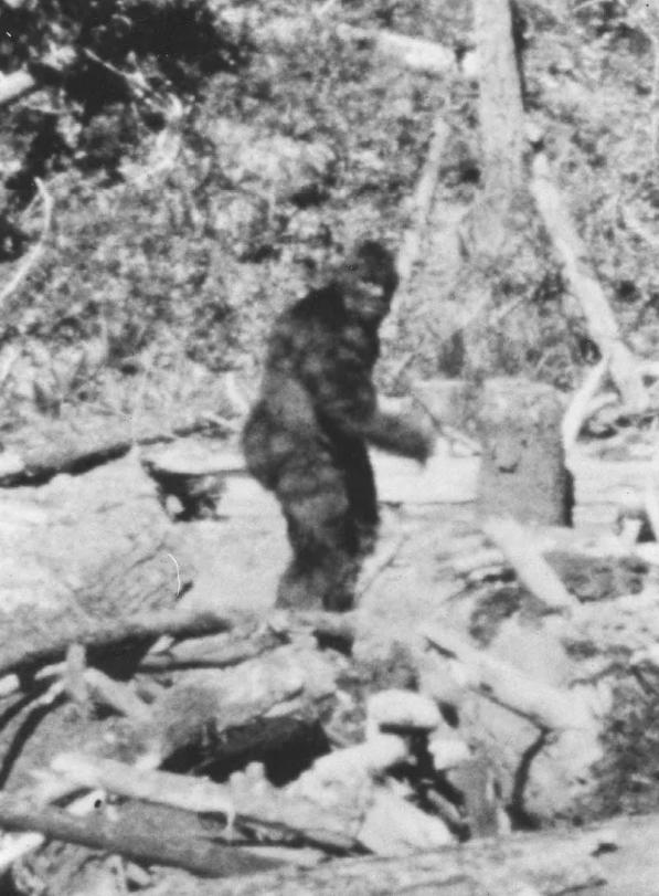 Существует ли снежный человек? Ученые рассказывают, где его можно найти и какие доказательства есть