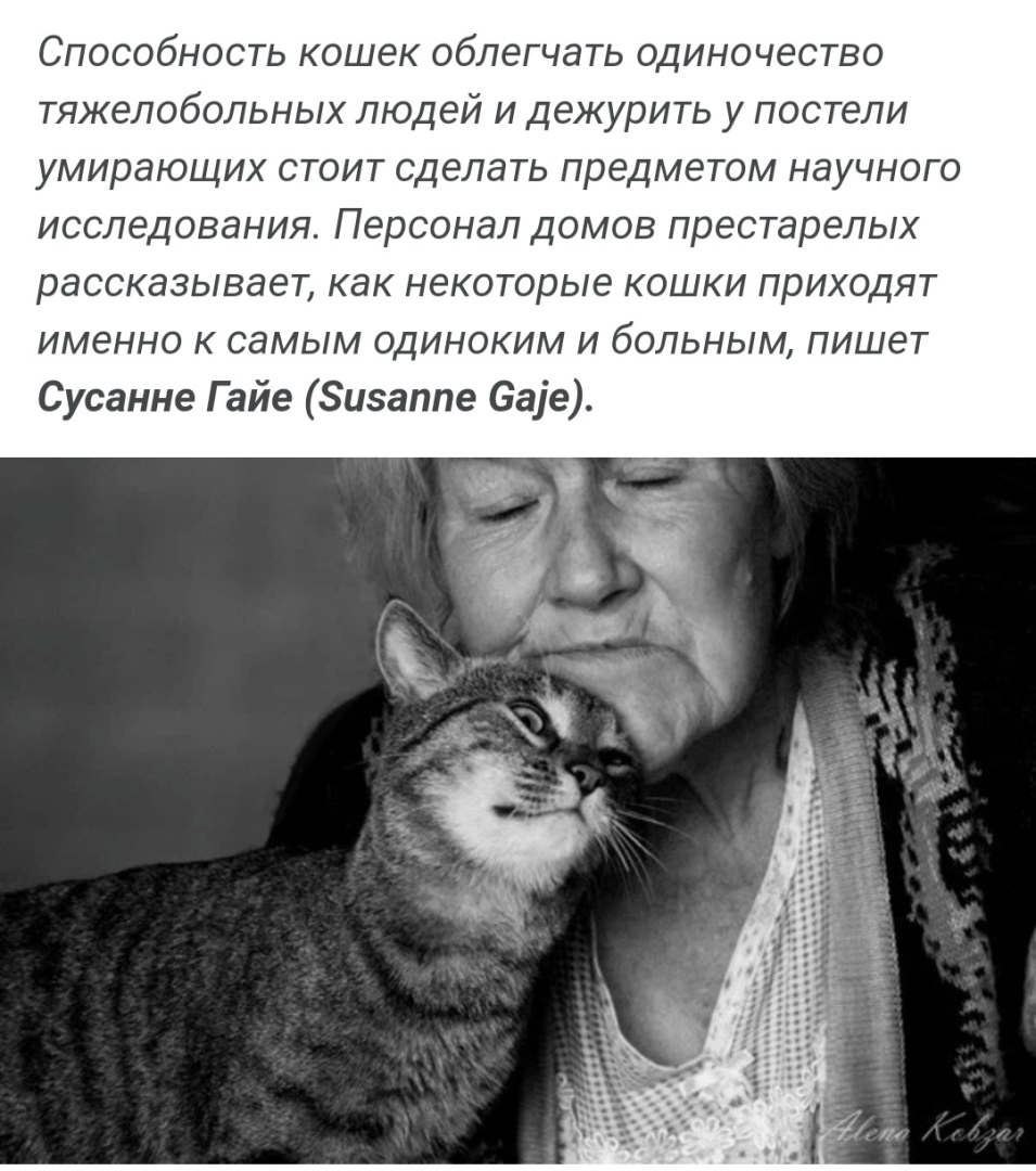 Уникальный праздник в США