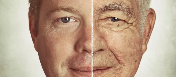 Многие из нас слышали, что «часы» в нашем теле тикают, ведя нас по пути старения