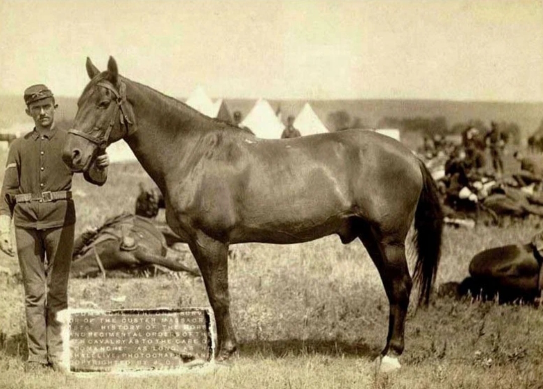 Уникальный праздник в США