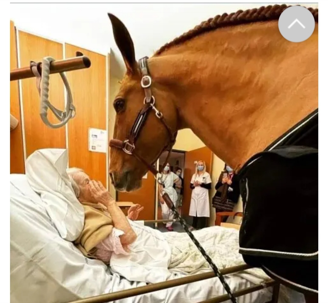 Уникальный праздник в США