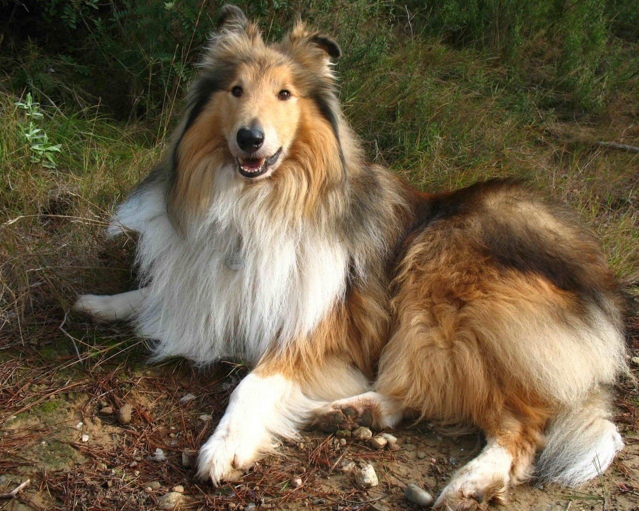 Трогательная история из реальной жизни