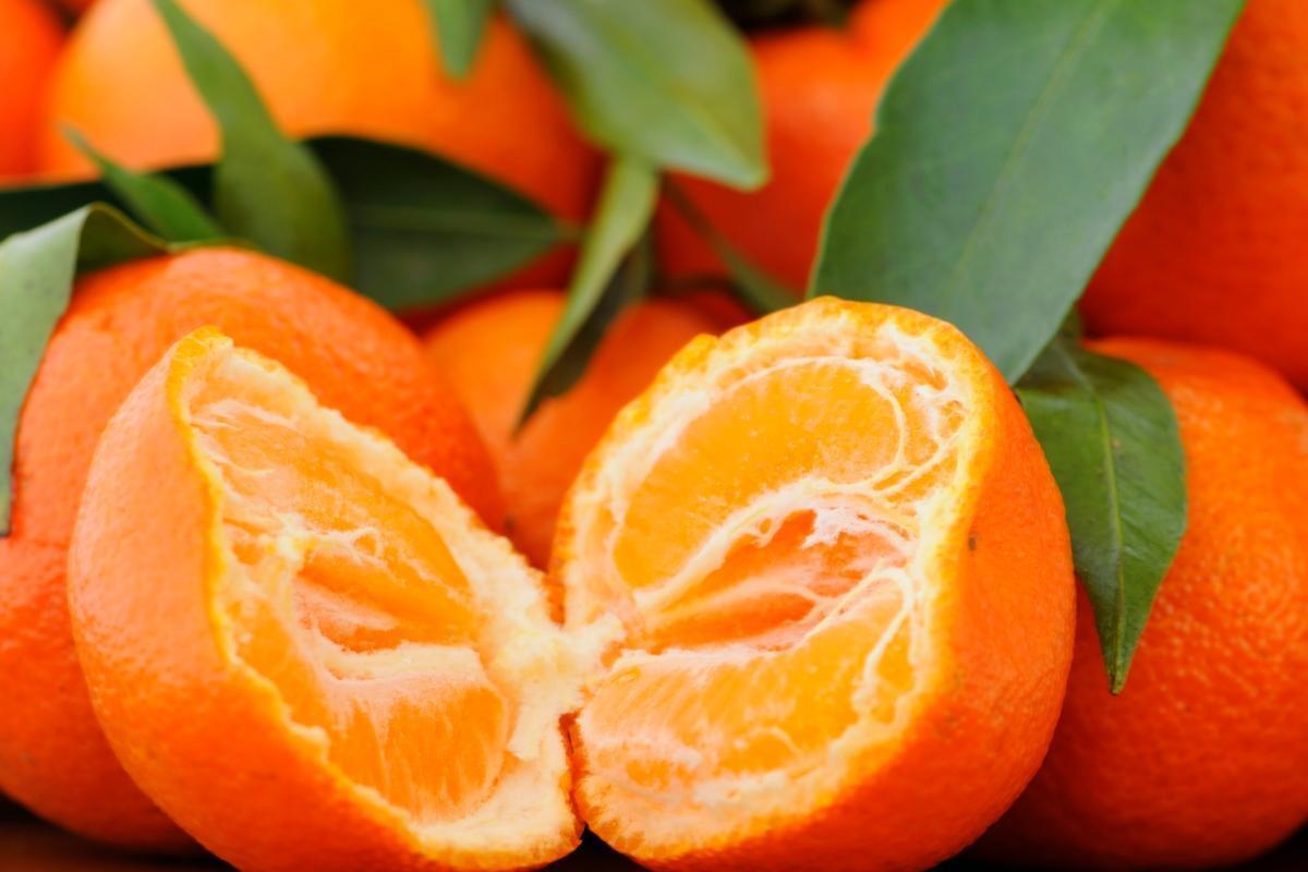 Рассказ про танжерин