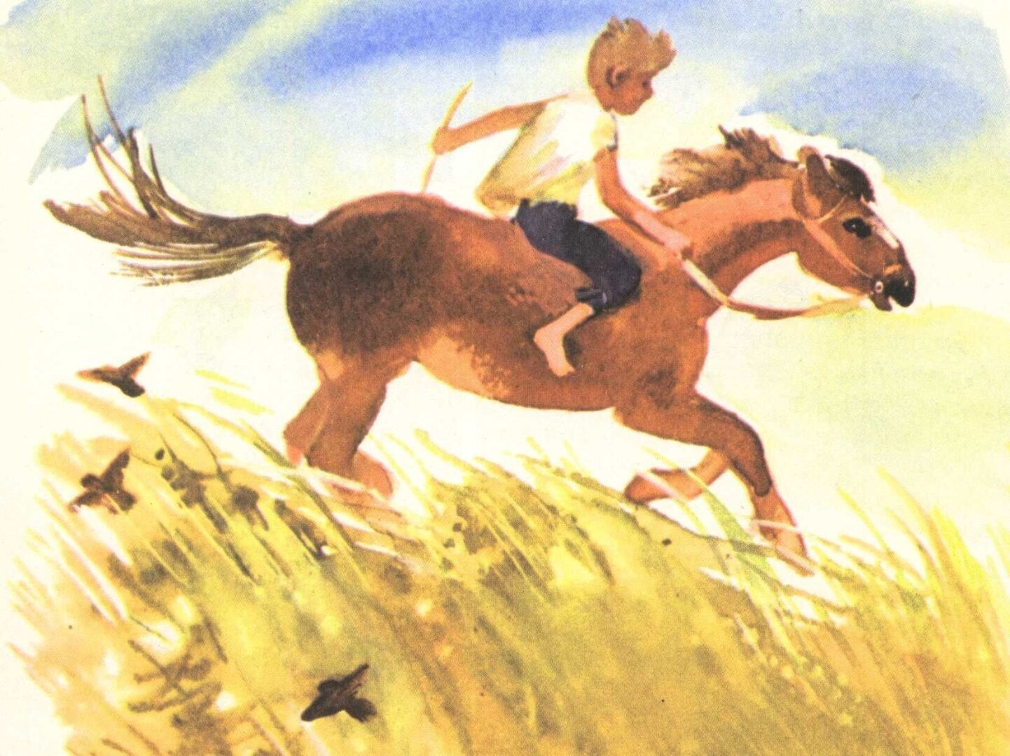 Мальчик скачет на коне