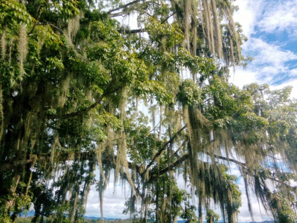 Моя поездка в горы, незабываемые впечатления.