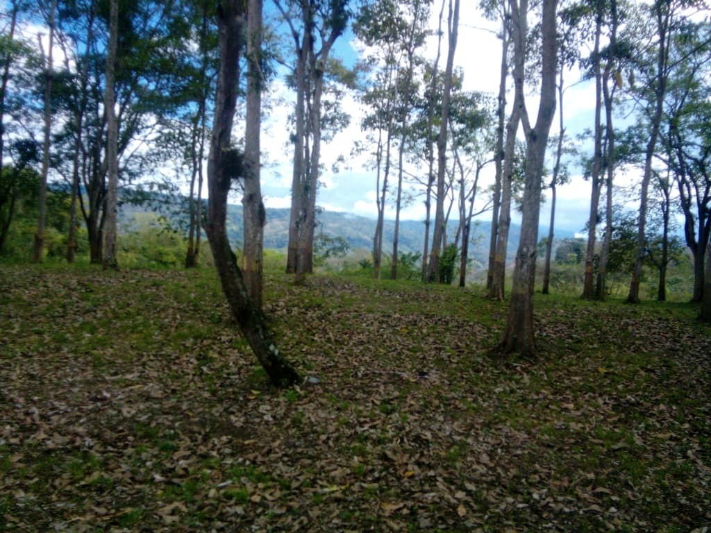 Моя поездка в горы, незабываемые впечатления.