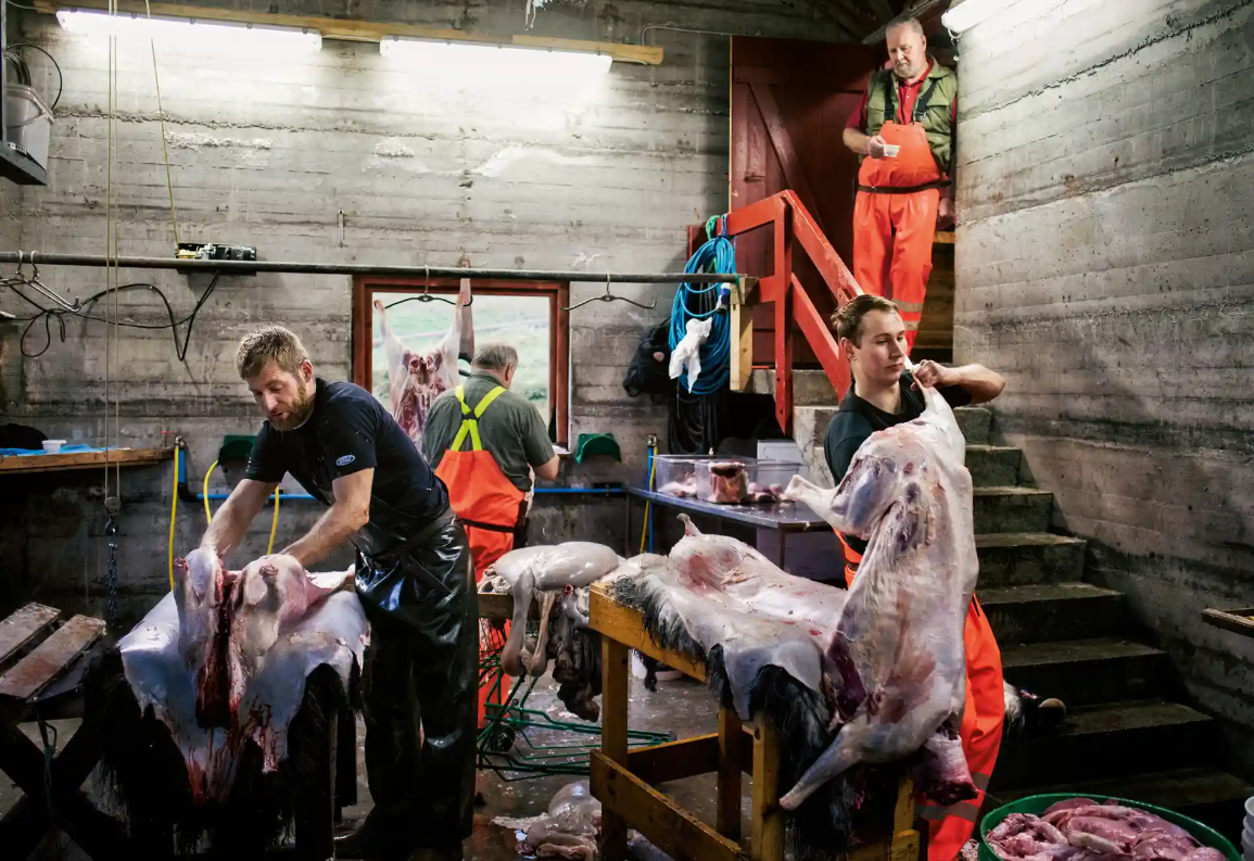 Горячие фотографии настоящих мужчин: жизнь на отдаленных вулканических островах. Фареры - в картинках