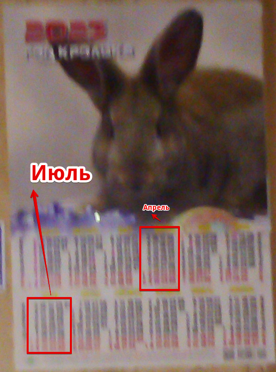 Мой Крольчан Иванович на календаре подсказал, ты хозяин пропустил ещё два месяца по схожести. И он дал мне понять надо мне их обнаружить.