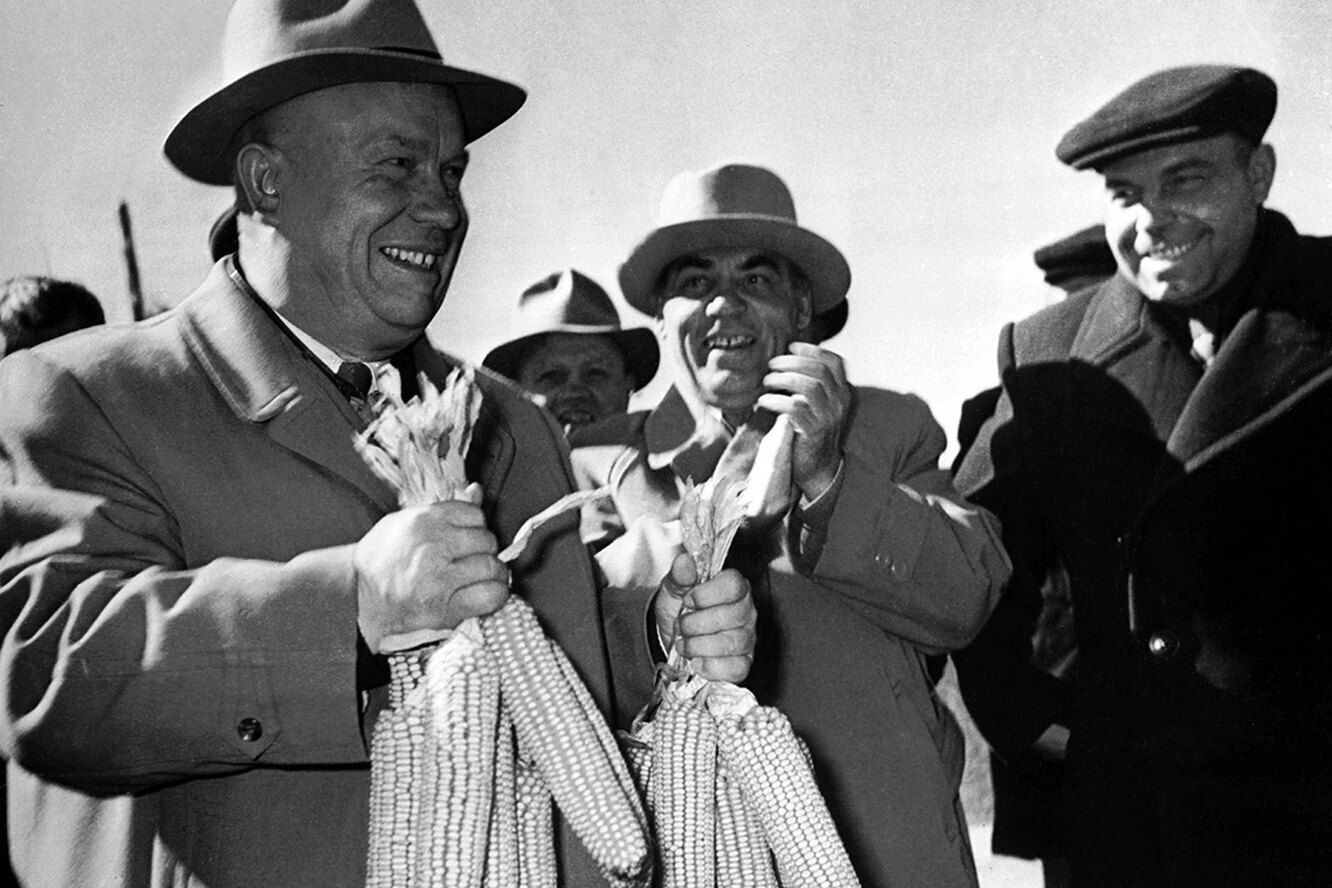 Как Никита Хрущев отдал приказ спасти народ от голода, накормив его кукурузой, и чуть не разорил страну