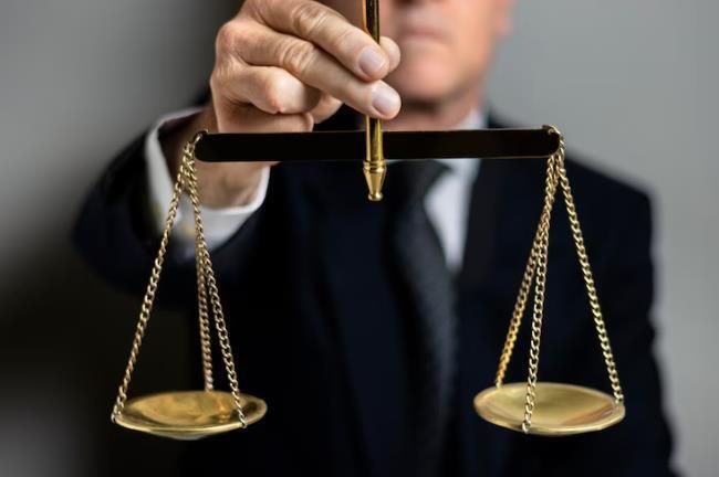 Адвокатура и с чем ее едят