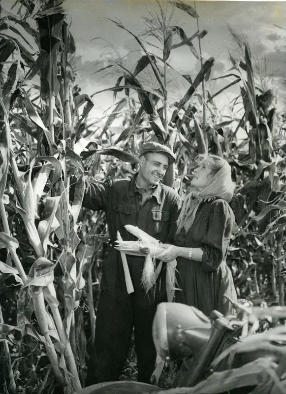 Как Никита Хрущев отдал приказ спасти народ от голода, накормив его кукурузой, и чуть не разорил страну