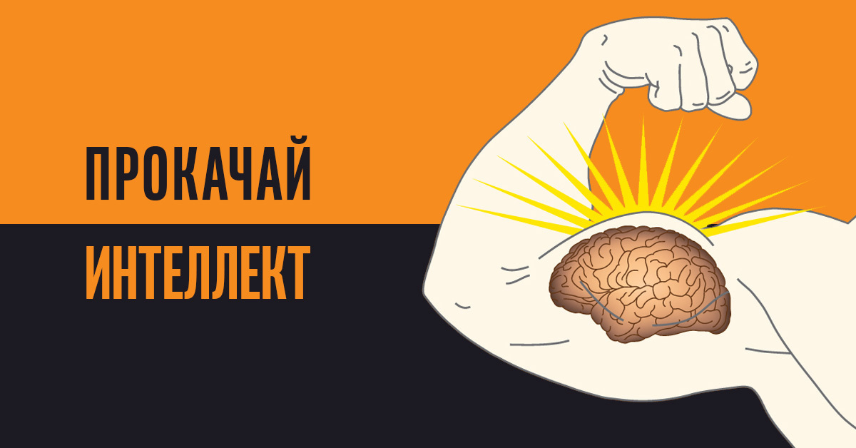 Как правильное питание влияет на память и внимание, при этом вкусно и полезно