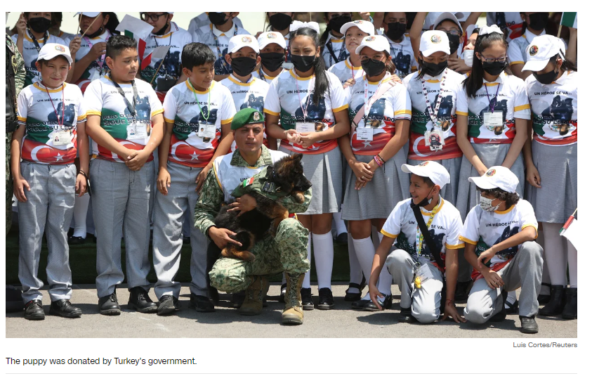 Турция подарила Мексике щенка после гибели спасательной собаки во время землетрясения
