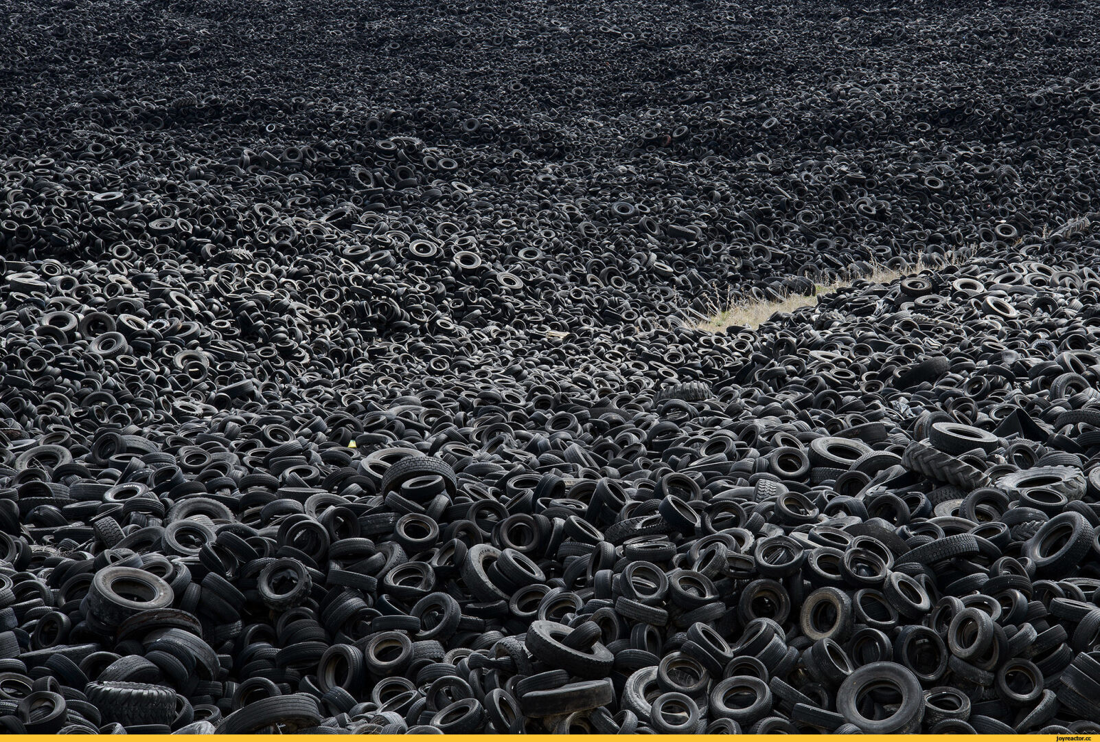 Проект "Экология"