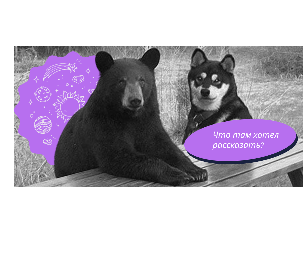 🛒 Интернет-магазин на TILDA: основные возможности и преимущества