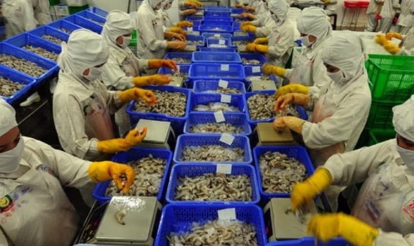 Продукты из Китая, которые вы не должны покупать.Опасно!