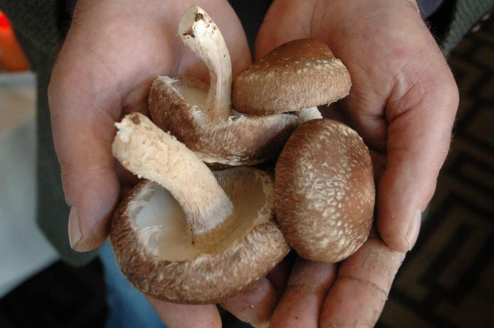 Продукты из Китая, которые вы не должны покупать.Опасно!