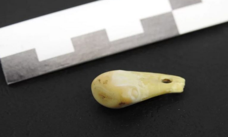 Открытие: медальон возрастом 20 000 лет все еще содержит ДНК владельца