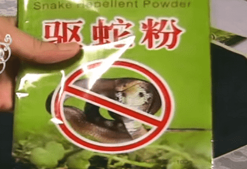 Змеи на даче. Насколько опасна встреча с ними и как защититься?