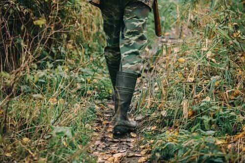 Змеи на даче. Насколько опасна встреча с ними и как защититься?