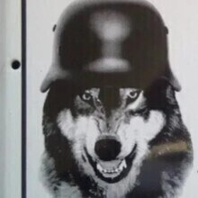 PenkuZdui, г. Московский