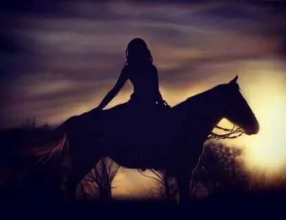 Лошади - наши верные друзья и партнёры...