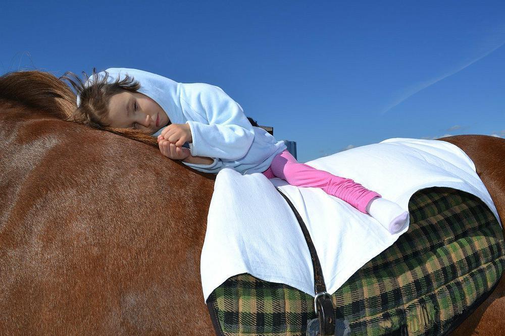 "Иппотерапия" Кому и зачем она нужна.