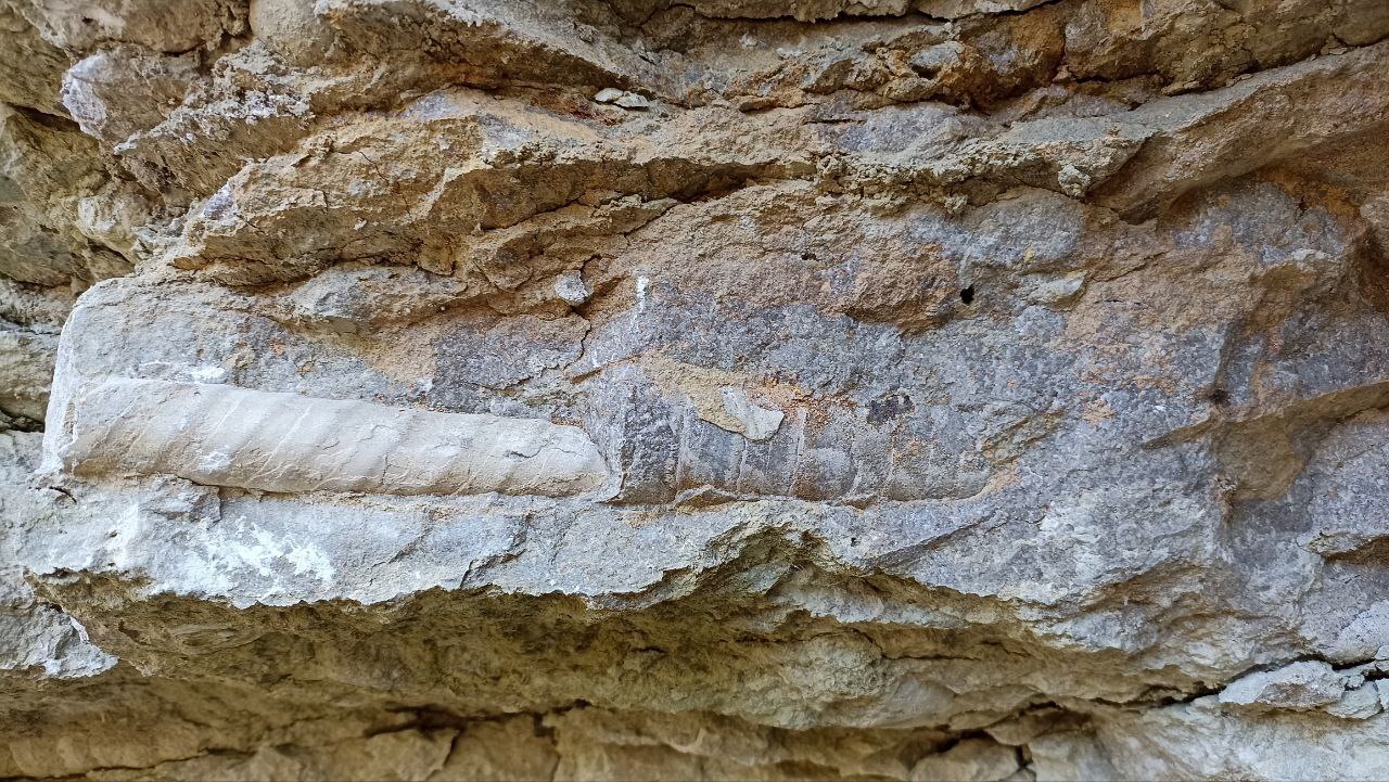 Колдовское место силы в Ленинградской области — Радоновые озёра в деревне Лопухинка