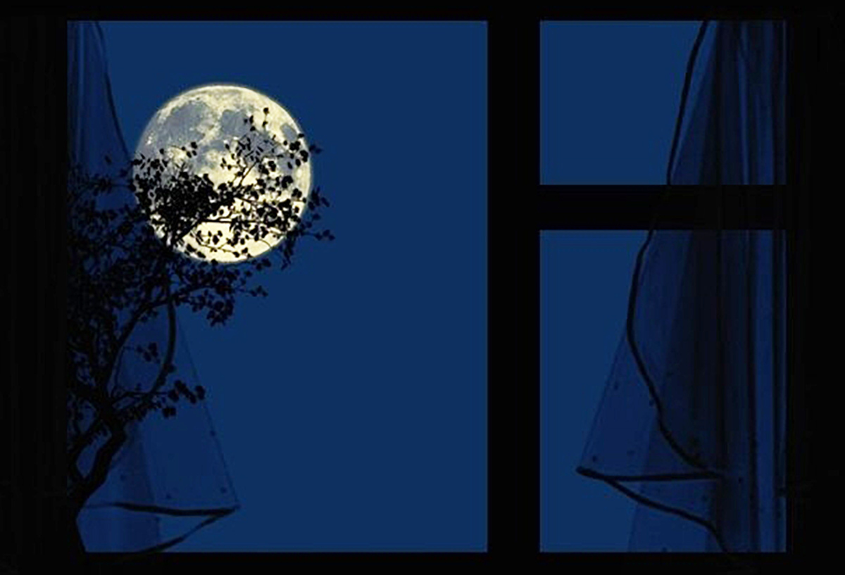 "Как ученые разгадали природу вещих снов , что они значат для нас ?"