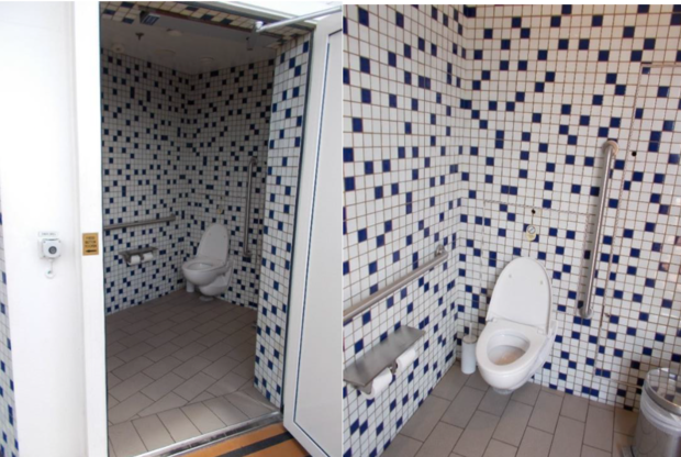 Мужчина тайно записывал на видео посетителей туалета круизного лайнера, всего более 150 человек, включая десятки несовершеннолетних