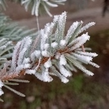 Олег, г. Таганрог