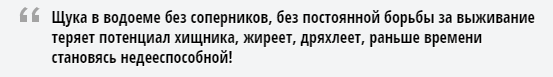 «Ростех» и конкуренция. Нехватка боеприпасов