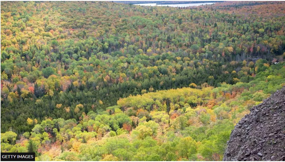 Восьмилетний мальчик выжил два дня в пустыне Мичигана, поедая снег