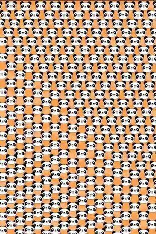 Тест на внимательность. Найдите грустную панду среди множества весёлых