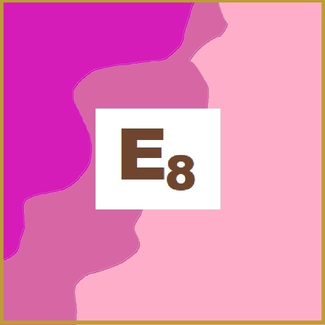 E₈: Абстрактная алгебра и ее применения