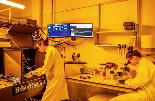 Новая технология позволяет изучать поведение и изменения одного белка с течением времени