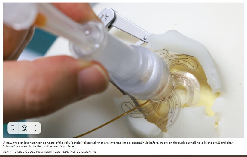 "Как отмечают исследователи из университета Калифорнии в Беркли, мягкие роботы в форме цветов могут использоваться для проведения мониторинга мозга.