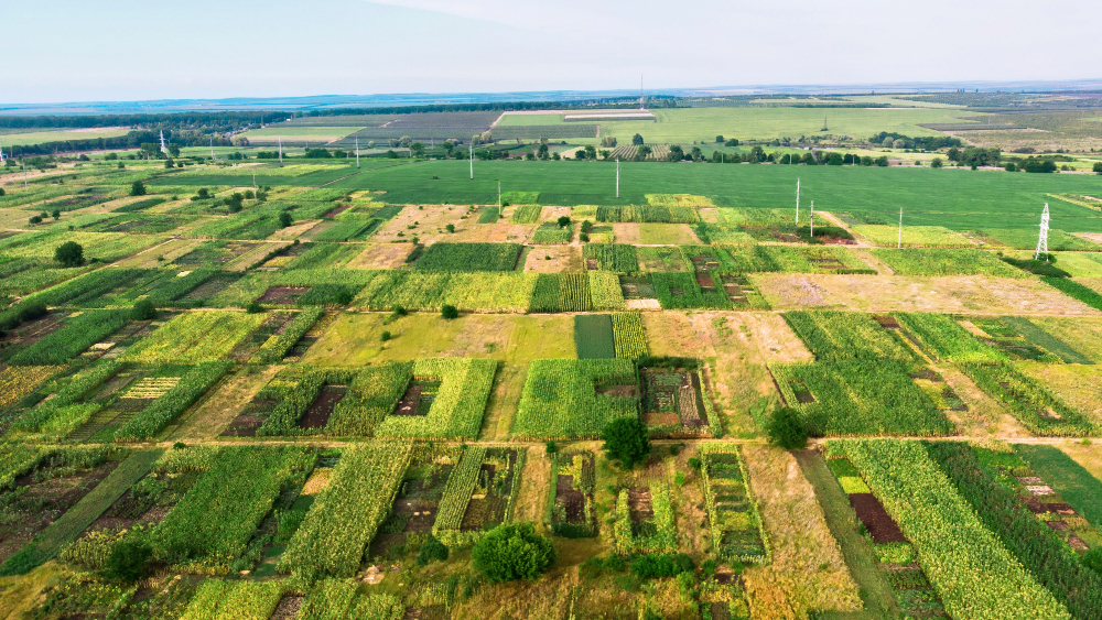 .Как получить земельный участок бесплатно в России