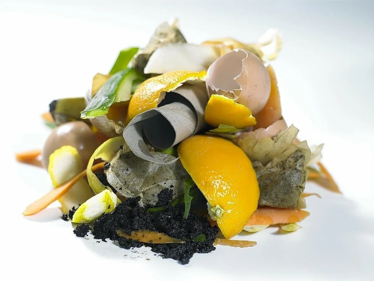 Несколько вещей, которые лучше не смывать в раковину