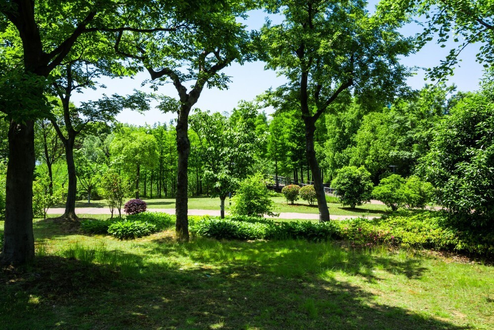 В России в 2022 году было произведено на 1,7% меньше сигарет, что помогло сохранить порядка 320 тысяч деревьев