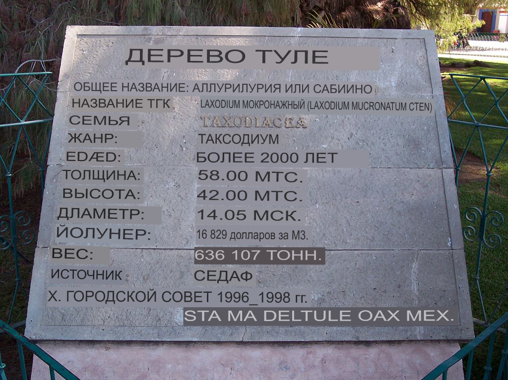 Рассказ про дерево Туле