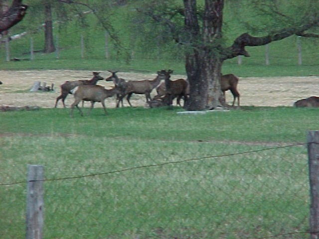 Немного об Алтае.