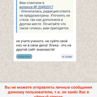 IMG_9762.png